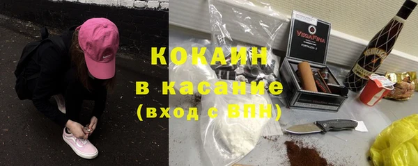 прущие грибы Алексеевка